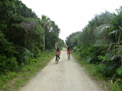 P1050046.JPG