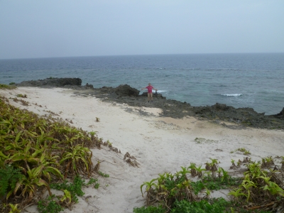 P1050051.JPG