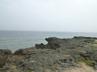 P1050053.JPG