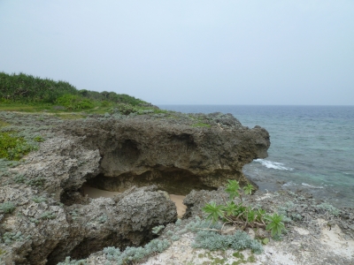 P1050058.JPG