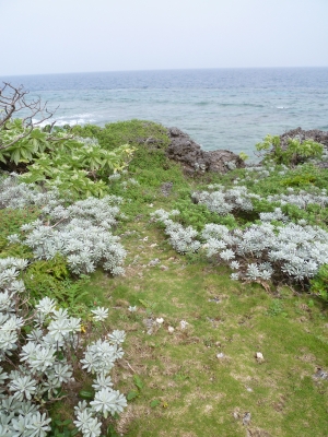 P1050063.JPG