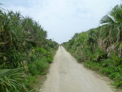 P1050070.JPG