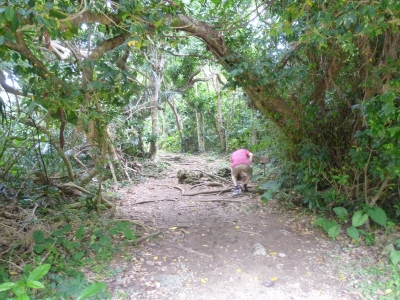 P1050074.JPG