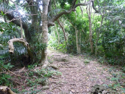 P1050075.JPG