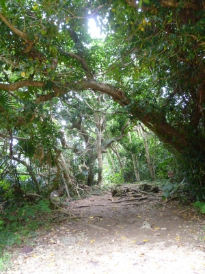 P1050077.JPG