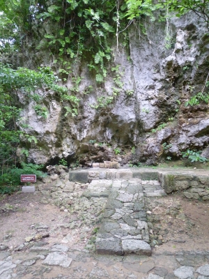 P1050084.JPG