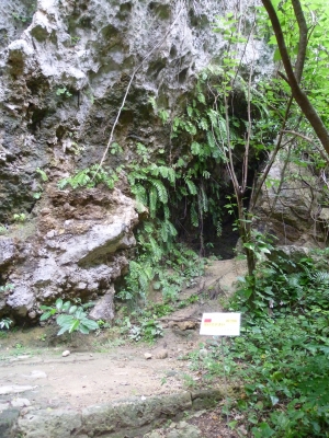 P1050086.JPG