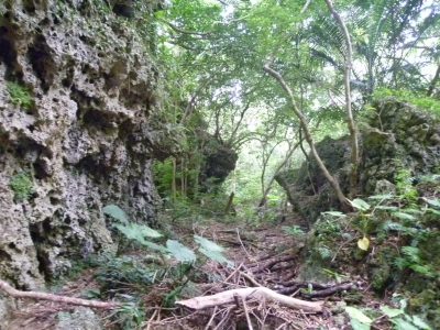 P1050087.JPG