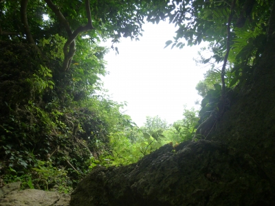 P1050096.JPG