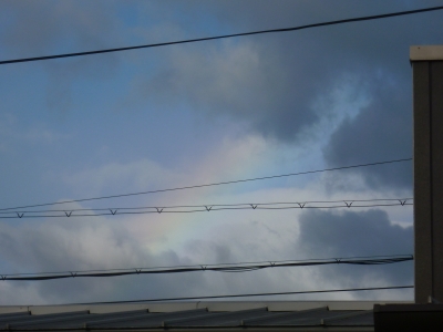 P1050672.JPG