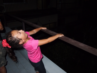 P8160351.JPG