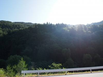 P8120028.JPG