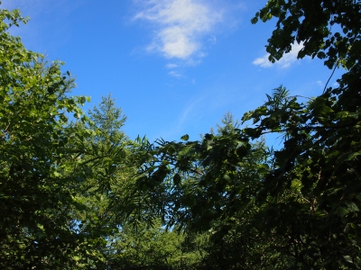 P8120047.JPG