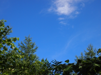 P8120048.JPG