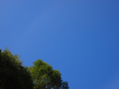 P8120050.JPG