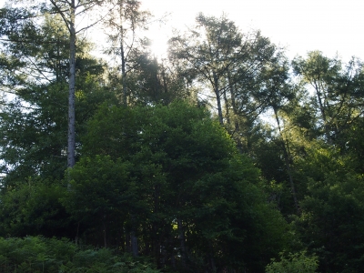 P8120051.JPG