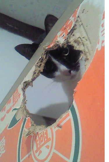 ん?