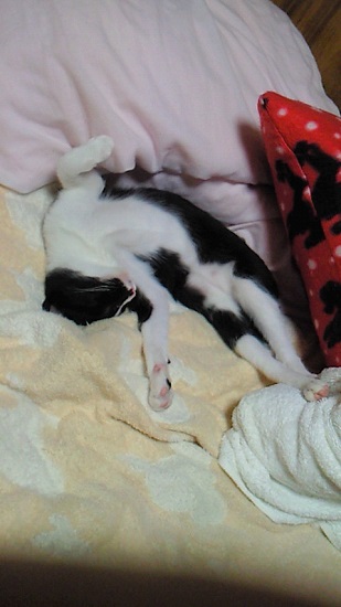 2011.9.3