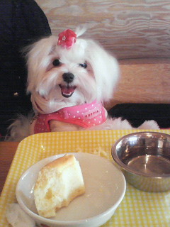 200802031334000.JPG