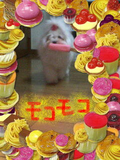 もこもここ