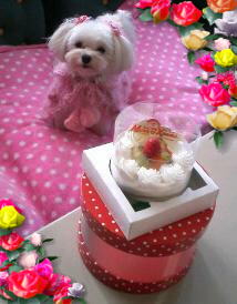ケーキ