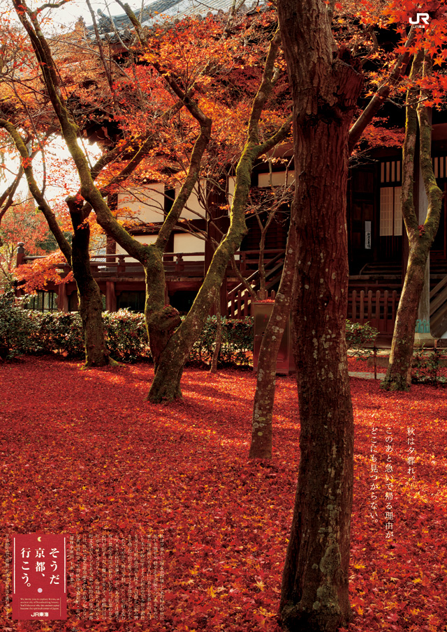 そうだ京都、行こう。 そうだ 京都、行こう。」の30年 | ウェッジ |本 | 通販 | Amazon