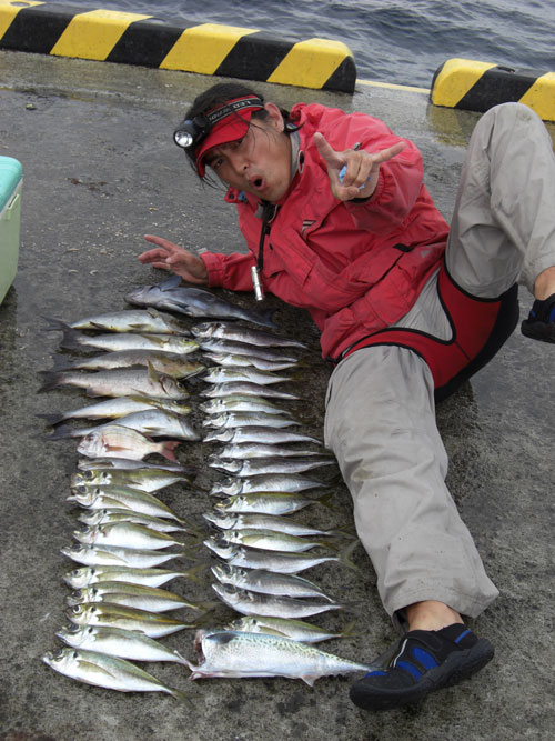 伊豆大島 波浮港6 旧 赤煙突 釣り日記