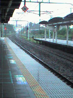 20061006_28247.jpg