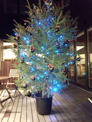 クリスマスツリー
