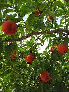 140706_0804~01.jpg