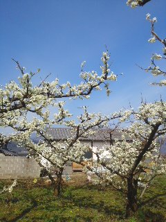 160330_0910~01.jpg