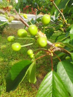 160502_0743~01.jpg