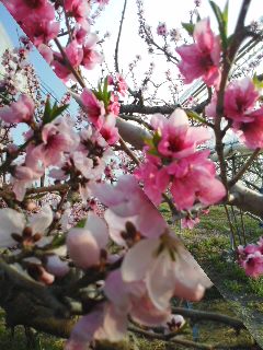 180403_1627~01.jpg
