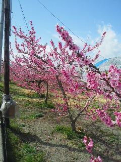 180406_0941~01.jpg