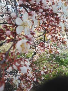 190322_1033~01.jpg