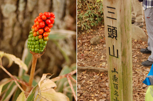 三頭山