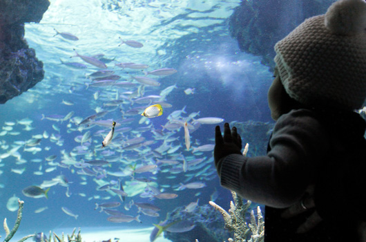水族館