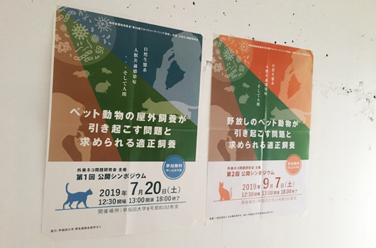 外来ネコ問題