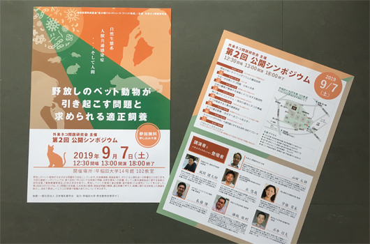 外来ネコ問題