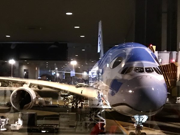 ３ Ana 全日空 エアバスa380型機 Flying Honu フライング ホヌ のエコノミークラスの機内食は Bills ビルズ とコラボレーションしています おいしい御殿場日記