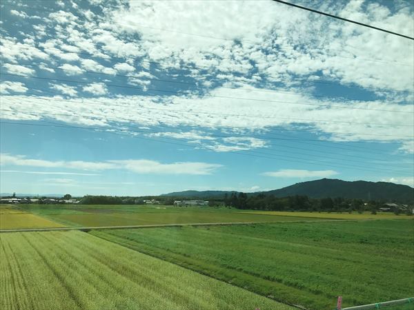 ¼Ì¿¿ 2019-09-12 10 28 01_R.jpg