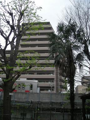 Bump探訪 まともな日常ノオト