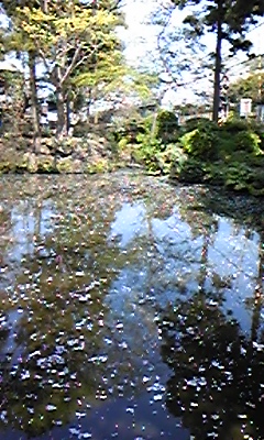 090409_102310.jpg