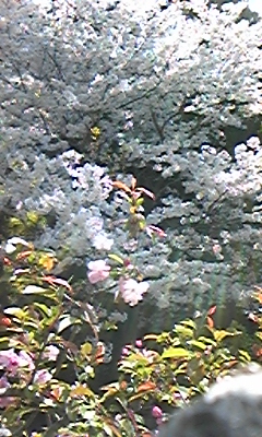 090409_102457.jpg