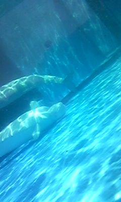 090812_130131.jpg