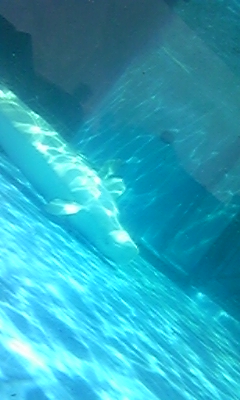 090812_130155.jpg