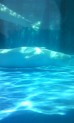090812_130300.jpg