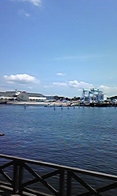 090812_130832.jpg