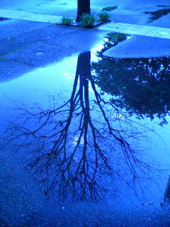 090508_1732~02.JPG