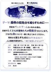 fly_arakawa
